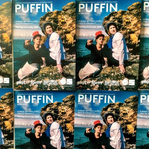 Puffin flyers